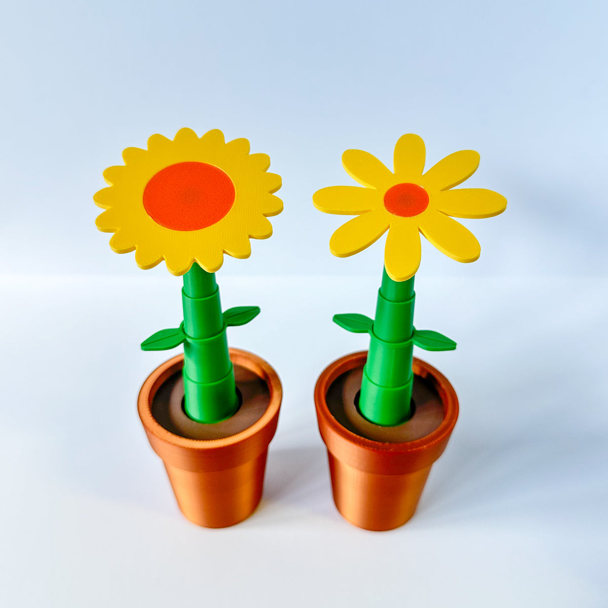 Potted Flowers and Watering Can