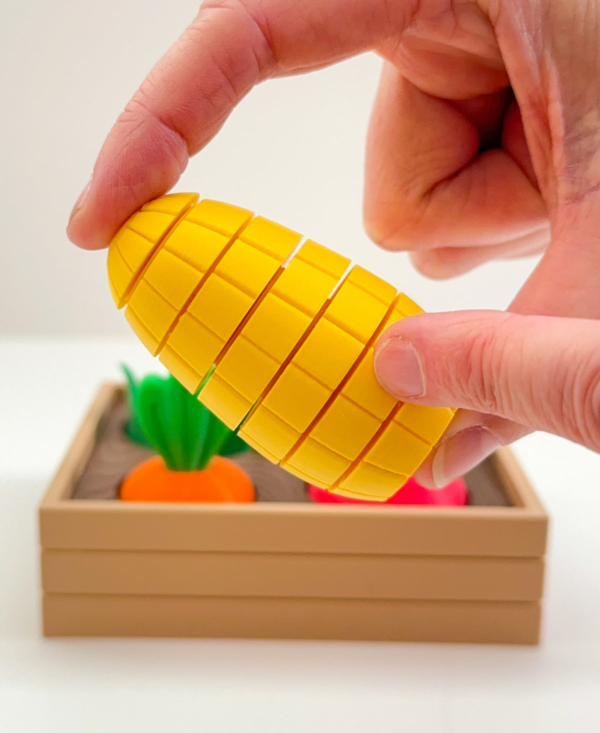 Corn on the Cob Fidget